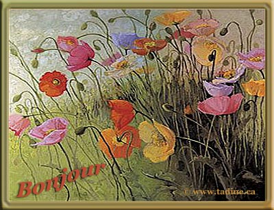 Bonjour mes amis(es)